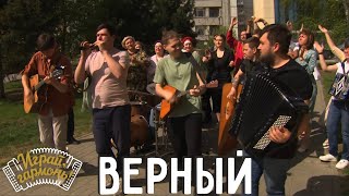 Верный | Ансамбль «Сибиряки» (г. Новосибирск) | Играй, гармонь! | @igraygarmon