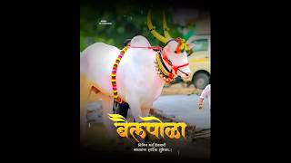 Bail Pola Status | Bail Pola Whatsapp Status 2023 | Bail Pola Status Video | बैलपोळा स्टेटस