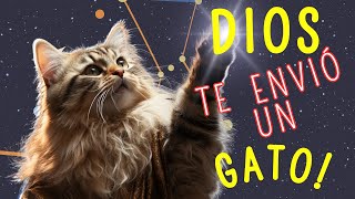 Descubre la ESPIRITUALIDAD de los Gatos ¿Por Qué DIOS Te Ha ENVIADO UN GATO?