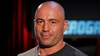 Joe Rogan Mentions Chester Again & Laughs At Eddie Bravo's Conspiracies