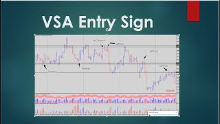 How to Use VSA Entry Sign on Right Time? || Urdu/Hindi