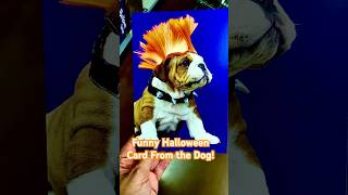 Wild Thing..Hilarious Halloween Card From the Wild Haired Dog! #funny #doglover #shorts #short