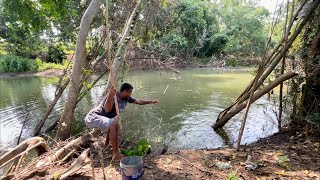 බිලී පිත්තෙන් අල්ලන ලොකු රොහොව්වා 🇱🇰Sri Lankan fishing