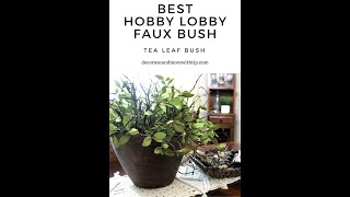 User Friendly Hobby Lobby Faux Bush