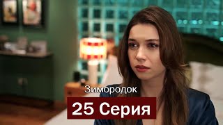 Зимородок 25 Cерия (Русский дубляж)