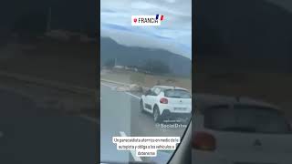 Un paracaidista aterriza en medio de una autopista francesa #shorts #viral #trafico #coches