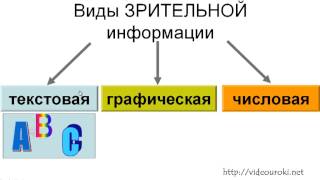 Формы представления зрительной информации