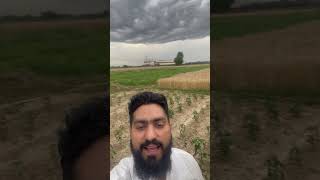 First day in Pakistan #desi lifestyle #viralvideo #trendingshorts