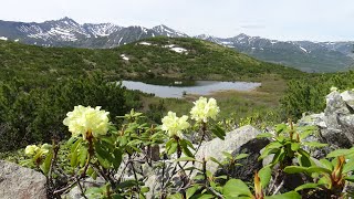 Неудачная вылазка к оз. Аргукан.