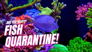 FISH QUARANTINE! Reef Tank Aquarium🦠