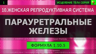 1.10.5 🎧 Здоровье Парауретральных Желез ГЛУБОКОЕ ИСЦЕЛЕНИЕ (резонансный саблиминал)