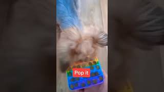 Pop it