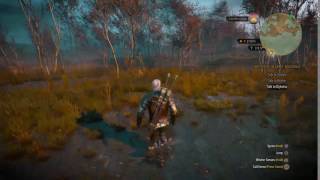 So this is how Roach is always around Geralt