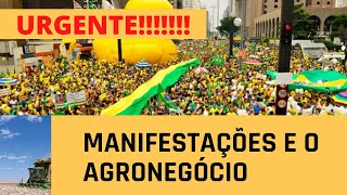 Manifestações e o Agronegócio: Saiba o Que Muda.