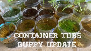 SETUP NG MGA WHITE TUBS | UPDATE SA MGA GUPPY CONTAINER (HD) | V0526