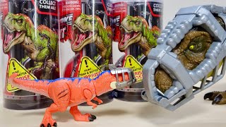 プロテクターの付いた小さいT-REX! カプセルからどんな恐竜が出るかお楽しみ♪DINO STRIKE HUNT