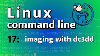 LCL 17 - imaging and verification tools: dd, dc3dd, md5sum - Linux Command Line tutorial forensics