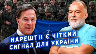 ⚡️ШЕЙТЕЛЬМАН: Все! Есть решение НАТО. Киев получит ПРИГЛАШЕНИЕ? Это ОСТАНОВИТ войну @sheitelman