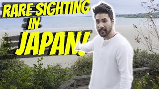 Underwater VOLCANIC ERUPTION in JAPAN?! | The beaches of Okinawa, JAPAN are littered with this stuff