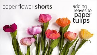 Paper Flower Shorts: Adding Leaves to Paper Tulips