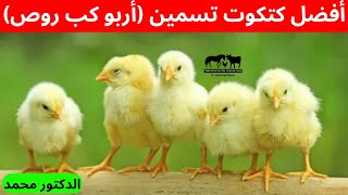 هل أشتري كتكوت ( كب - أربو - روص - هبر - اي ار ) أفضل نوع كتاكيت 🐥 يديك وزن ومناعه مع دكتور