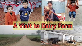 A Visit to Dairy Farm | Village Tour | Two Bunnies