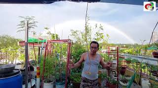 RAINBOW AT KARANGALAN VILLAGE DELA PAZ PASIG CITY