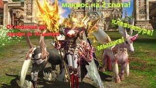 МАКРОС! LINEAGE2 MAIN AIRIN 2024 Клавиатура - Мышка ! СУМ- На 2 СПОТА ! МАКРОС НА МЫШКУ!