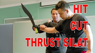 HIT CUT THRUST SILAT