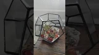 Black Glass Geometric Terrarium Planter Pentagon Container Modern Decor Display Flower Pot