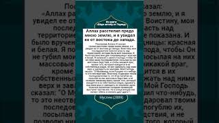 Аллах расстелил предо мною землю, и я увидел ее от востока до запада.