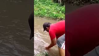 Cuci Tangan Dulu setelah Cari Umpan Cacing #shorts #mancingdisungai #mencariikan #umpancacing #tasik