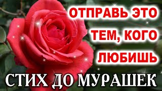 🔴СТИХ ДО СЛЁЗ, ОЧЕНЬ ТРОГАТЕЛЬНО! ДОБРОЕ УТРО!  СТИХ ПРИТЧА О ДОБРОТЕ