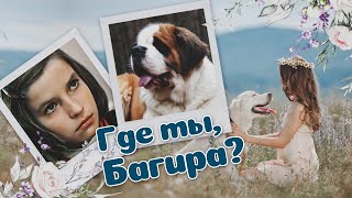 ГДЕ ТЫ, БАГИРА? - Фильм / Семейный