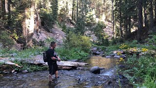 Sierra Nevada Trout