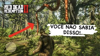 Fatos Curiosos Sobre Red Dead Redemption 2