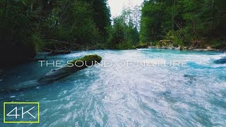 [4K⁶⁰UHD] 🎧 Soothing stream flowing on stones sound • Sleep in 10 minutes • Relieve some stress