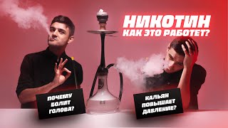 НИКОТИН - КАК РАБОТАЕТ??? | Реакция организма на никотин