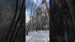 Наше "Тамбовское - Рассказовское Простаквашено 😁🫶