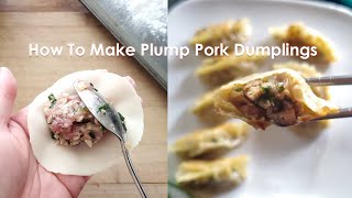 Plump Pork Dumplings (Potstickers) Recipe