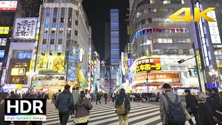 Tokyo Night Walk - Shinjuku [4K HDR]