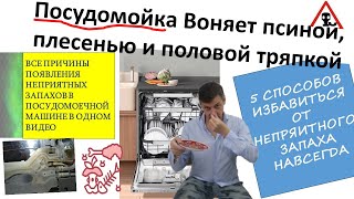 Посудомойка воняет псиной и плесенью. Запах плесени. псины и сырости можно удалить самостоятельно