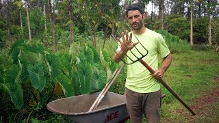 Tools I use to farm in Hawai'i (PUNA DISTRICT)