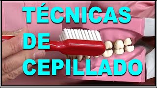 TÉCNICAS DE CEPILLADO DENTAL MANUAL CIRCULAR BASS STILLMAN CHARTERS