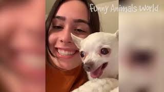 Funny Animals🐵🐔🐶🐷🐵🐔🐶🐷 | Completions 2023