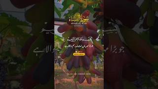 SURAH AL NISA | VERSES (01) Quran Urdu Translation | With Text Fateh Muhammad Jalandheri | #shorts