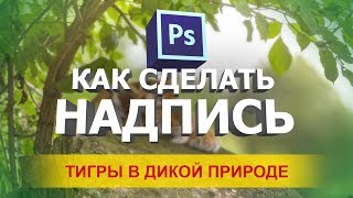 Как сделать надпись в фотошопе