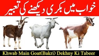 Dream(khwab) Main Goat(bakri) Dekhny Ki Tabeer In Urdu & Hindi