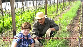 Soil For Growing Vegetables | Close To Nature