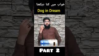 Dreaming of Dog | Dog Dream meaning | Khwab mein kutta dekhna | Khwab mein Kutty ka Katna | Tabeer